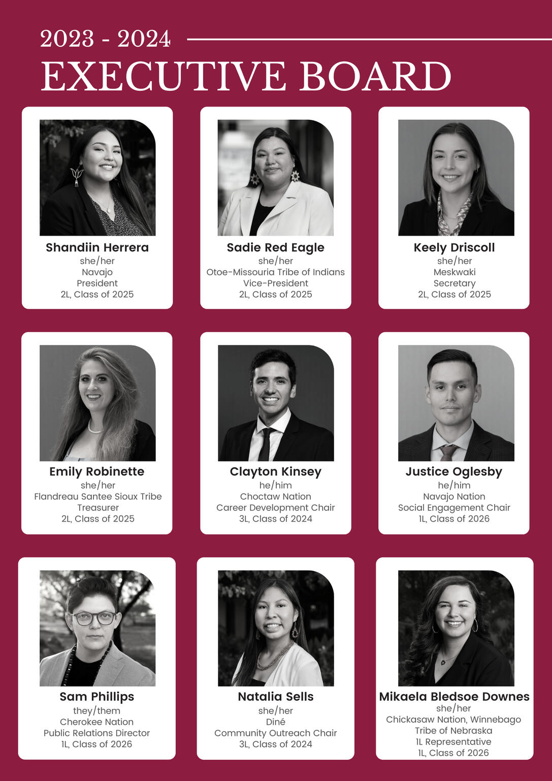 This image is a nine person panel in three rows of three with thumbnail photos of each representative. The thumbnails are black and white on a bed of white with names, Tribal affiliation, title, and law school class embedded on a sea of maroon.